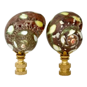 Spotted Shell Lamp Finials on Brass Hardware - a Pair