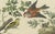 Sepp, Houttuyn & Nozeman, Hoopoe, Bullfinch, Linnet and Quail, 1770s-1800s, Print For Sale - Image 6 of 10