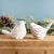 Bring the charm of nature indoors with this set of Carved Bird Figurines. Expertly crafted from high-quality resin, each...