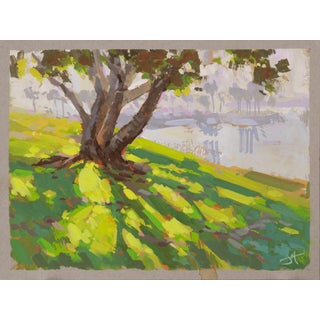 Shoreline Shade by Judd Mercer | Gouache On Paper Tree casting shadows on a grassy shoreline. For Sale