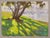 Shoreline Shade by Judd Mercer | Gouache On Paper Tree casting shadows on a grassy shoreline. For Sale