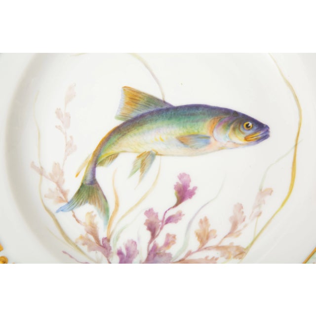 Flora Danica Fish Plates, Vintage and Vibrantly Painted, Royal Copenhagen - Set of 12 For Sale In West Palm - Image 6 of 13