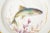 Flora Danica Fish Plates, Vintage and Vibrantly Painted, Royal Copenhagen - Set of 12 For Sale In West Palm - Image 6 of 13