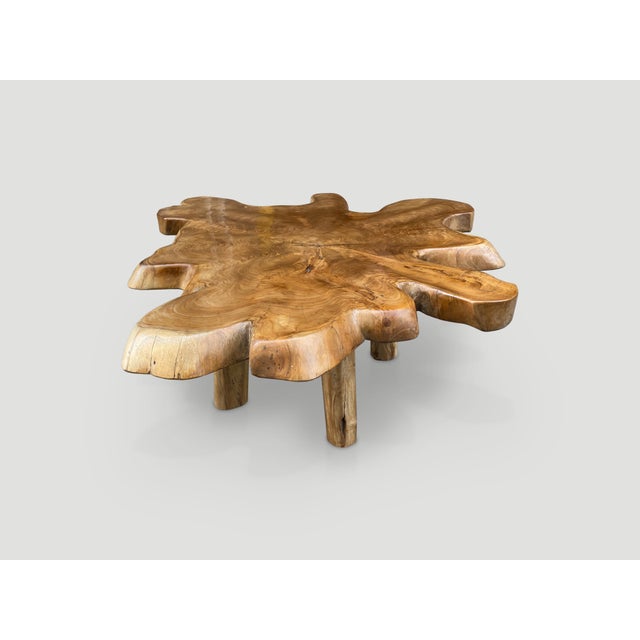 2010s Andrianna Shamaris Single Slab Live Edge Teak Wood Coffee Table For Sale - Image 5 of 6