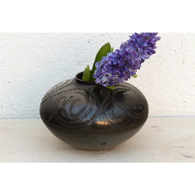 Etched Swirls Mata Ortiz Vintage Pot For Sale - Image 11 of 11
