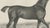 After Chalon, Thoroughbred Stallion Selim, Arabian Bloodlines, 1840, Lithograph For Sale - Image 7 of 9