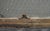 Wood Reclaimed Wormy Chicken Wire Glass Window 31.75 X 19 In. For Sale - Image 7 of 7