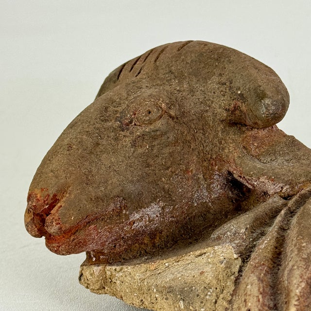 Vintage Broken Off & Salvaged Terracotta Head of a Ram, Sculptural Decor For Sale In New York - Image 6 of 9