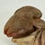Vintage Broken Off & Salvaged Terracotta Head of a Ram, Sculptural Decor For Sale In New York - Image 6 of 9