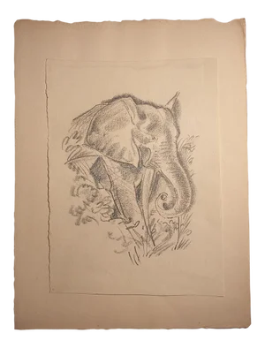 Emmanuel Gondouin, Africa, the Elephant, Original Lithograph, 1930s