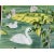 Chinoiserie W20"*h40", Serene Garden Swan Chinoiserie Art Panel Set (2 Panels Without Frame),Tea Paper For Sale - Image 3 of 6