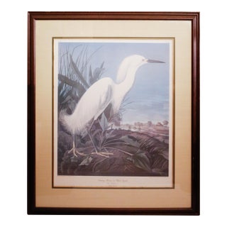 Vintage John James Audubon "Snowy Heron" Framed Large-Scale Lithograph For Sale