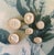 Antique Italian Grand Tour Plaster Intaglios - Set of 6 (Group #5) For Sale - Image 9 of 11
