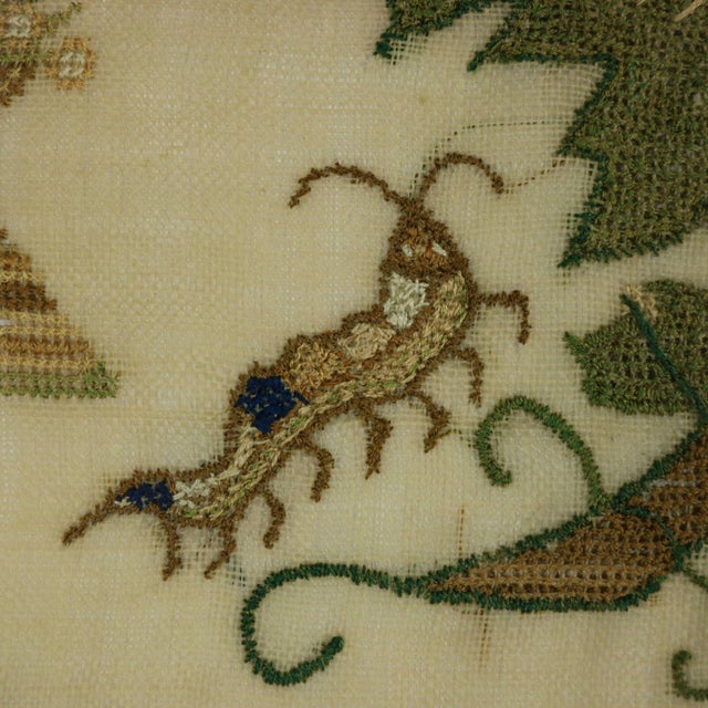 Textile Antique Sampler, 1842, by Ann Minter Aged 8 Years For Sale - Image 7 of 17