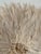 Tribal African Juju Feather Headdress, 28 In. Diameter, Off-White For Sale - Image 3 of 4