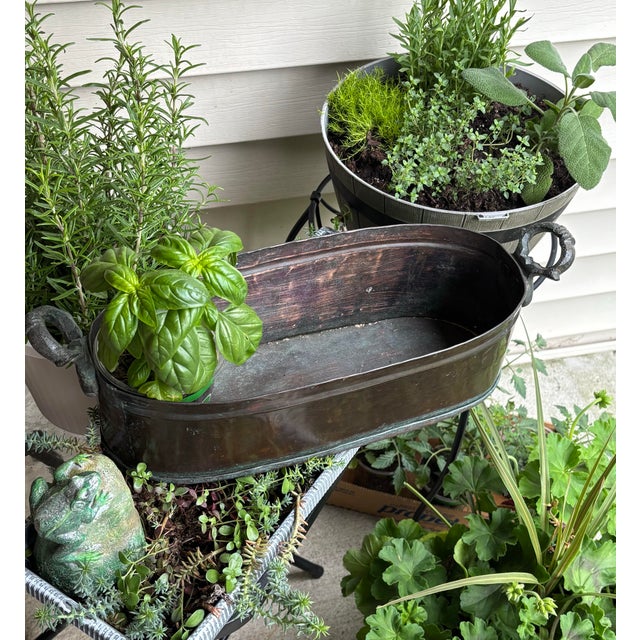 Bring a touch of old-world European romance to your garden layout, covered patio, or open sunroom with this exceptional...