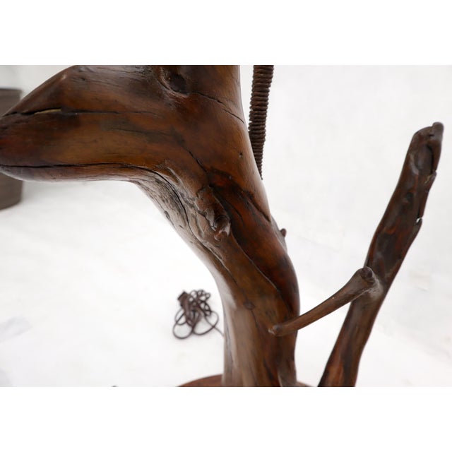 Mid 20th Century Varnished Arts & Crafts Driftwood Table Lamp For Sale - Image 6 of 12