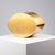 Early 21st Century Brass and Glass Turtle Box from Roberto G. Rida, 2016 For Sale - Image 5 of 6