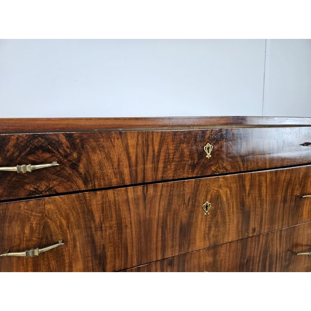 Wood Art Deco Chest of Drawers in Mahogany Burl with Brass Handles, 1940 For Sale - Image 7 of 18
