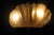 Shell Shaped Sconces in Gold Murano Glass by Murano for Murano, 2000, Set of 2 For Sale - Image 3 of 14
