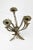 Vintage Brass Floral Candelabra For Sale - Image 3 of 9