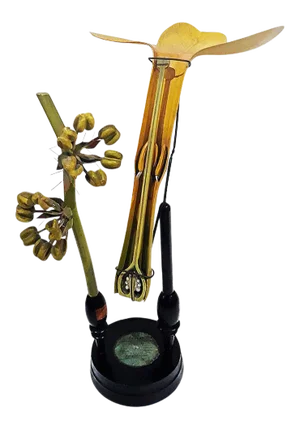 Robert Brendel's Botanical Model, 19th Century