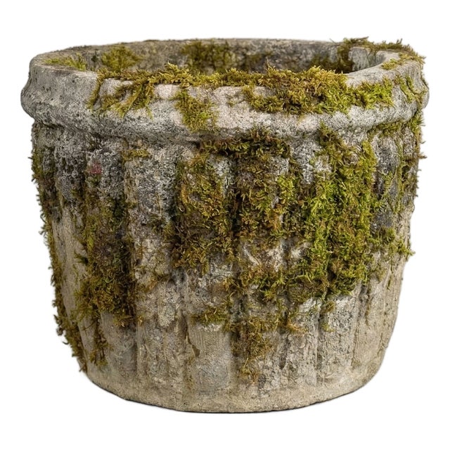 Vintage French Garden Pot with Fluted Edges in Reconstituted Stone, 1950 For Sale