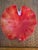 Murano Leaf-Form Red and Persimmon Ashtray or Candy Dish with Gold Flecks, Seguso Style For Sale In Dallas - Image 6 of 6