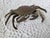 Traditional Mid Century Brass Crab Decorative Object For Sale - Image 3 of 5