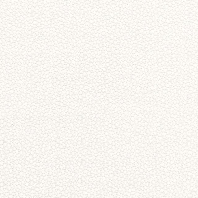 Sample - Schumacher Rossini Sheer Fabric in Ivory For Sale