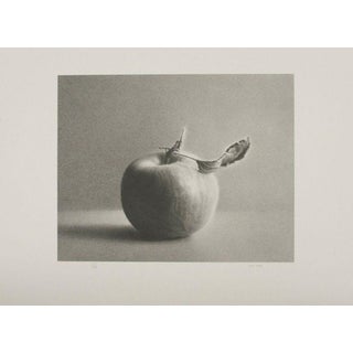 Vintage Martha Alf "Apple" Still Life Lithograph Print Limited Edition Signed (236/250) For Sale