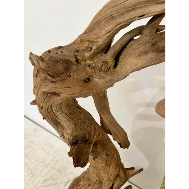 Large Mid Century Driftwood Sculptural Lamp For Sale In Tampa - Image 6 of 12