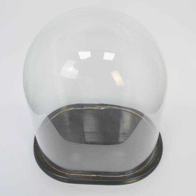 Napoleon III Glass Dome For Sale - Image 3 of 6