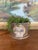 Handmade ceramic planter with matching dish, crafted in the Pacific Northwest This wheel-thrown piece features an earthy...