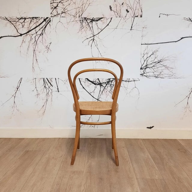 Wood 214 R Chairs by Michael Thonet/Paul Stanoβek for Thonet, 1960s, Set of 4 For Sale - Image 7 of 13