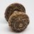 Odd shaped decorative knob made of brass in an antique finish. It includes a matching rosette. The manufacturer and date...