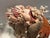 Seashell Encrusted Horse Head Bust Statue For Sale - Image 18 of 18