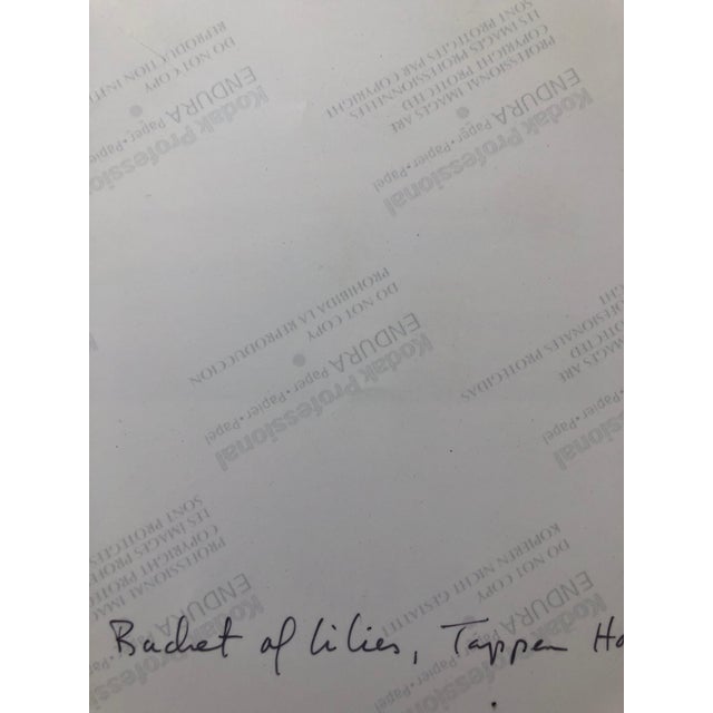 American Peter C. Jones 1, Basket of Lilies, Large Format Flowers Photo 24X20 Color Photograph Beach House, 2002 For Sale - Image 3 of 7