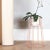 Contemporary Small Dusty Peach Cibele Plant Stands by Ok Design, Set of 3 For Sale - Image 3 of 7