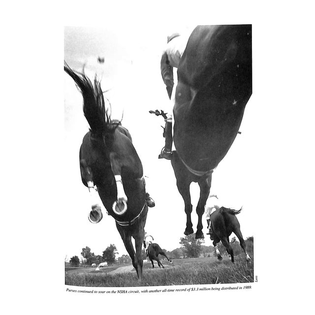 Paper "American Steeplechasing 1989" 1989 Colgan, Charles T. [Editor] For Sale - Image 7 of 12