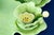 Green Art Nouveau Strawberry Service in Vitrified Majolica by George Jones, England, 1882, Set of 5 For Sale - Image 8 of 18