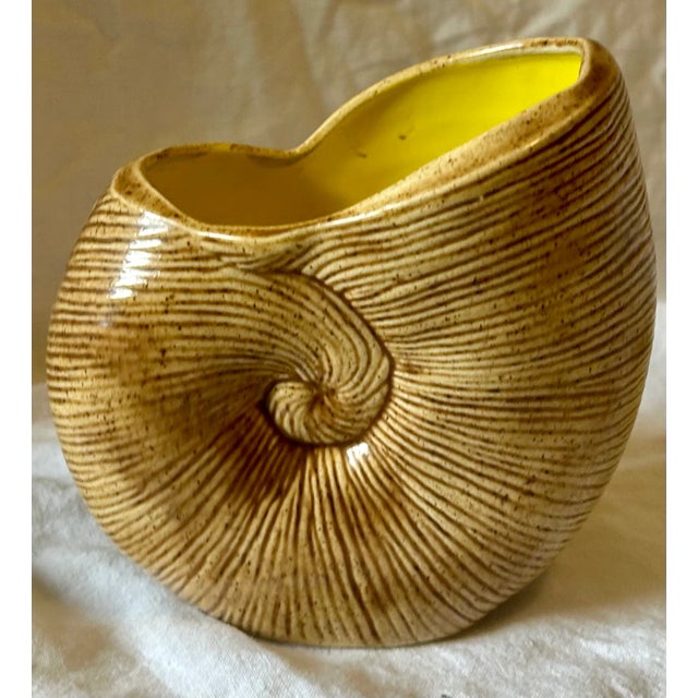 Seashell Chic Shell! This striking hand painted nautilus shell shaped planter features a brown/tan glaze on the exterior...