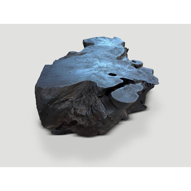 2010s Andrianna Shamaris Sculptural Charred Teak Wood Coffee Table or Bench For Sale - Image 5 of 5