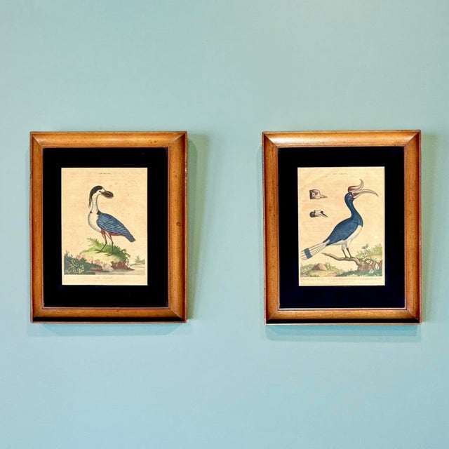 This matching set of antique hand-colored bird engravings dates to the late 18th century and represents classic natural...