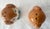Whimsical Adorable Bunny Salt and Pepper Shakers Mint Condition. For Sale - Image 4 of 11