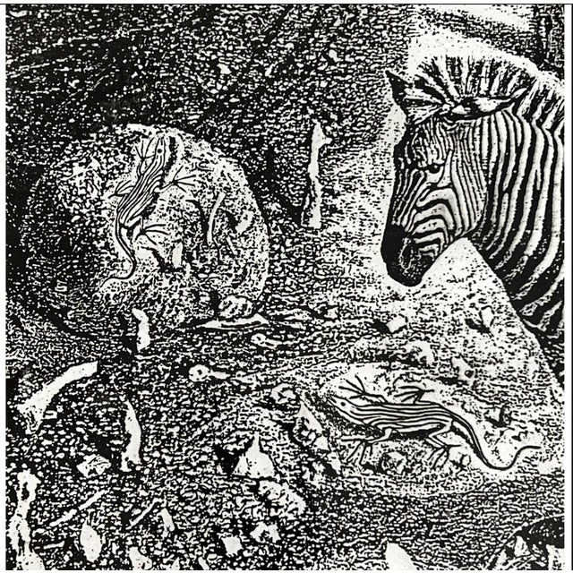 Printmaking Materials "Zebra's Secret Place in Passage" an Etching by William Kelly Fearing (1918-2011) For Sale - Image 7 of 9