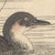 Imao Keinen, Little Grebe, 1892, Print For Sale - Image 4 of 13