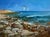 Oil Painting Sounds of Birds and Sea Waves Yuriy Suprunchuk For Sale