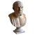 Italian Artist, Hippocrates Bust, Early 20th Century, Carrara Marble For Sale - Image 6 of 7