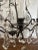 Early 20th Century Early 20th Century French Louis XV Style Six Light Bronze or Brass Chandelier With Abundance of Cut Crystal Prisms For Sale - Image 5 of 12